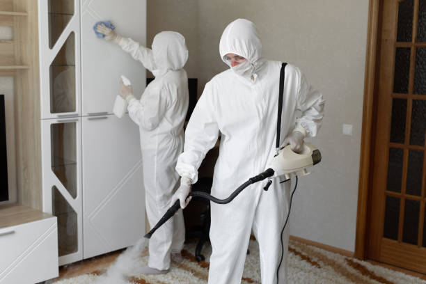 Trusted Redmond, WA Mold Remediation Experts