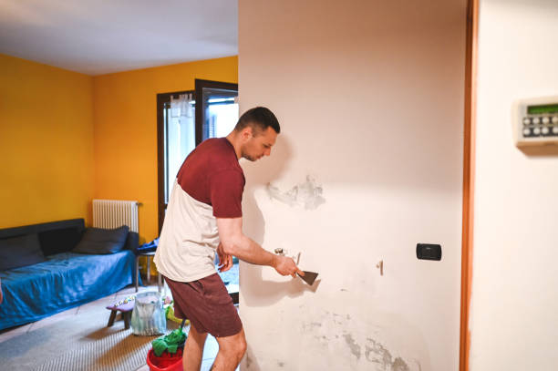 Best Basement Mold Remediation in Redmond, WA